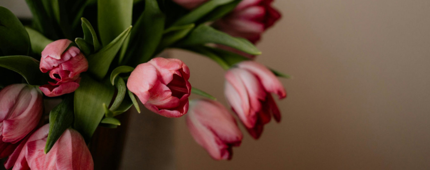 Floristería de Cuenca